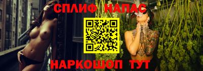 индика Кинель