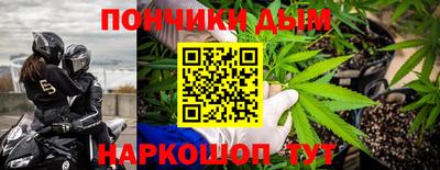 индика Кинель