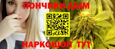 индика Кинель