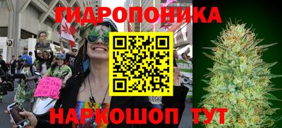 альфа пвп Кингисепп