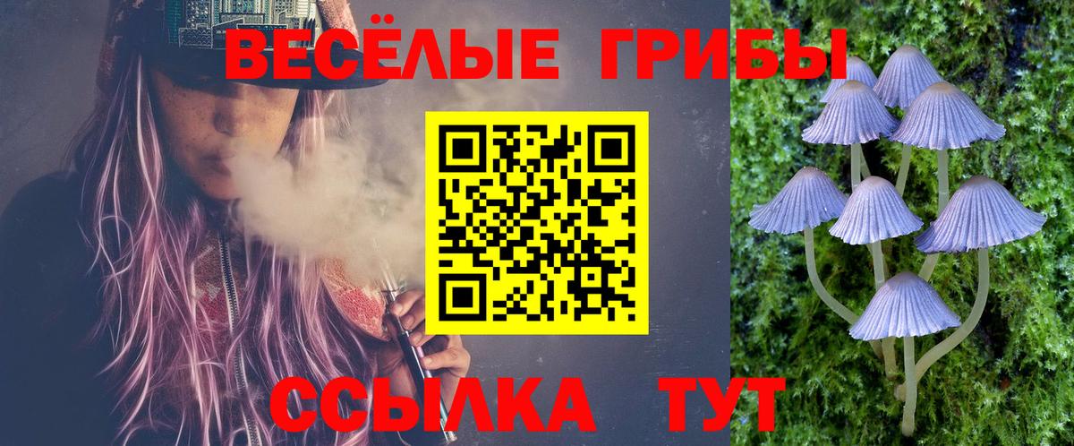 Галлюциногенные грибы MAGIC MUSHROOMS  Галлюциногенные грибы Cubensis  Гулькевичи  даркнет сайт  Вход с VPN 